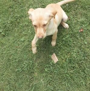 Meet your Posher, Chance